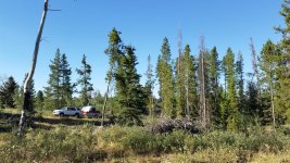 20160723_080257.jpg