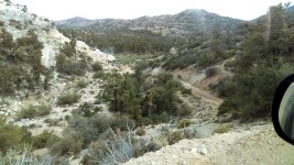 IMAG0381_1.jpg