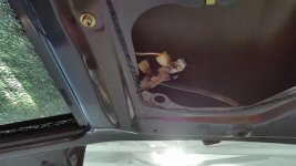 4Runner wires.jpg