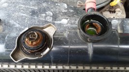 20160728_155333.jpg