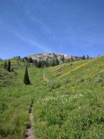 IMG_20160702_104606.jpg