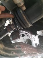 20160428_114523.jpg