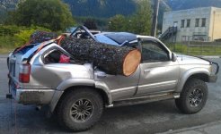 tree.jpg