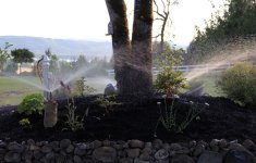 sprinklers.jpg
