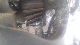20160320_103014.jpg
