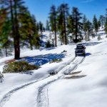 IMG_20160320_231107.jpg