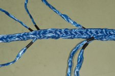 Bridle7785.jpg