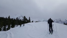 20160319_134701.jpg