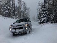 IMG_2952.jpg