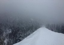 IMG_2951.jpg