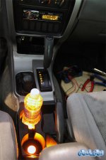 Cup Lights.jpg