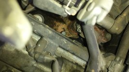 20160614_125413.jpg