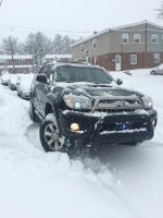 IMG_0231.jpg