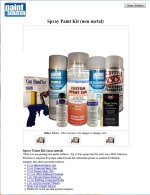 Fender Paint.JPG Fender Paint.JPG