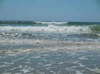 DSCN0528.jpg