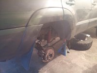 new springs.jpg