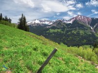 Amazing Avery Peak Backcountry.jpg
