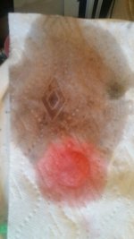 IMG_20160410_20356.jpg