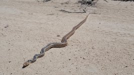 20160522_132637_small.jpg