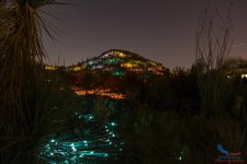 DBG-SonoranLight-028.jpg DBG-SonoranLight-028.jpg