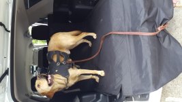 20160620_102743.jpg
