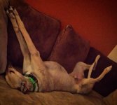IMG_20160411_010648.jpg