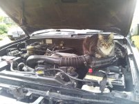 20121110_150943.jpg