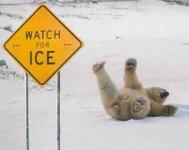 funny_pictures_Watch_for_Ice.jpg