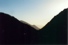scan.gif
