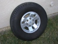 rim10.jpg