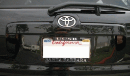 imgp0676crop.gif