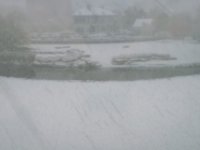 1012061000.jpg