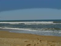 obx05 175 (medium).jpg