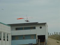 obx05 009 (medium).jpg