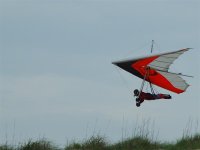 obx05 006 (medium).jpg