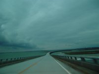 obx05 158 (medium).jpg