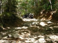 4x44.jpg