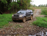 17924picture_or_video_219.gif