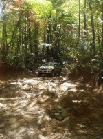 4x47.jpg