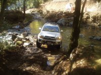 4x49.jpg