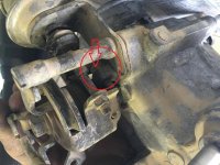 Throttle stop screw.jpg