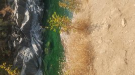 20160731_113507.jpg