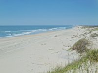 DSCN0547.jpg