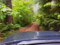 Road.jpg