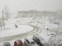 20160323_080740.jpg