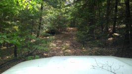 IMG_20160526_133439.jpg