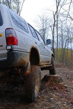DSC_3698m.jpg