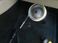 Leaf in Blower.jpg