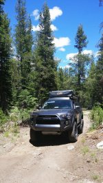 IMG_20160710_075238.jpg