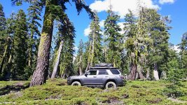 IMG_20160710_064413.jpg